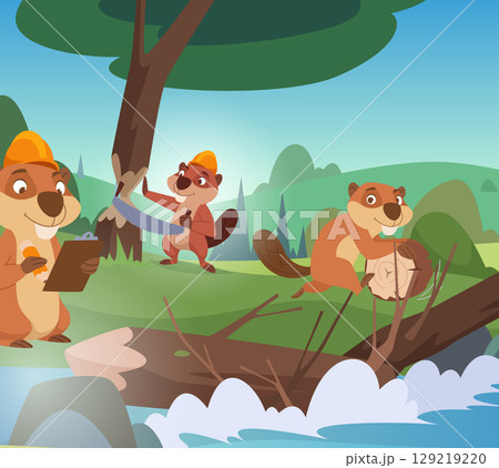 Beavers. wild smart animals beavers building a damper on river 129219220
