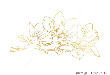 Golden magnolia flowers line art isolated on white background. Luxury magnolia floral design elements for invitation, wedding, wallpaper, print template, vector illustration 129219910