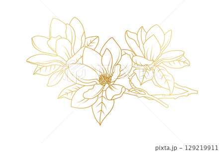 Golden magnolia flowers line art isolated on white background. Luxury magnolia floral design elements for invitation, wedding, wallpaper, print template, vector illustration 129219911