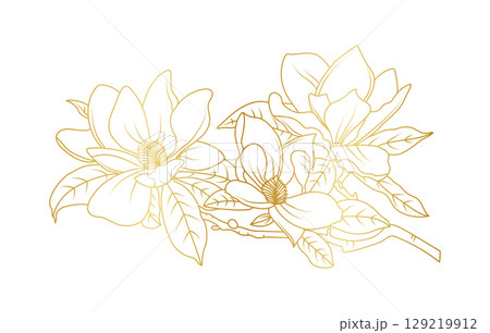 Golden magnolia flowers line art isolated on white background. Luxury magnolia floral design elements for invitation, wedding, wallpaper, print template, vector illustration 129219912