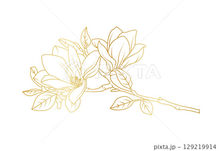 Golden magnolia flowers line art isolated on white background. Luxury magnolia floral design elements for invitation, wedding, wallpaper, print template, vector illustration 129219914