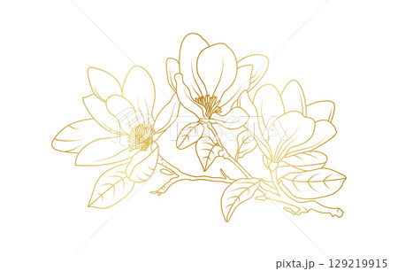 Golden magnolia flowers line art isolated on white background. Luxury magnolia floral design elements for invitation, wedding, wallpaper, print template, vector illustration Golden magnolia flowers line art isolated on white background. Luxury magnolia floral design elements for invitation, wedding, wallpaper, print template, vector illustration 129219915