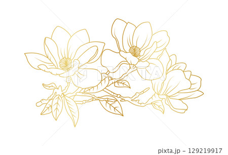 Golden magnolia flowers line art isolated on white background. Luxury magnolia floral design elements for invitation, wedding, wallpaper, print template, vector illustration Golden magnolia flowers line art isolated on white background. Luxury magnolia floral design elements for invitation, wedding, wallpaper, print template, vector illustration 129219917