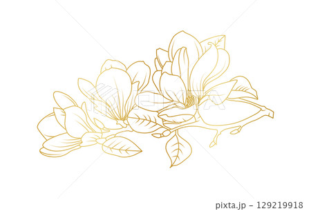 Golden magnolia flowers line art isolated on white background. Luxury magnolia floral design elements for invitation, wedding, wallpaper, print template, vector illustration Golden magnolia flowers line art isolated on white background. Luxury magnolia floral design elements for invitation, wedding, wallpaper, print template, vector illustration 129219918