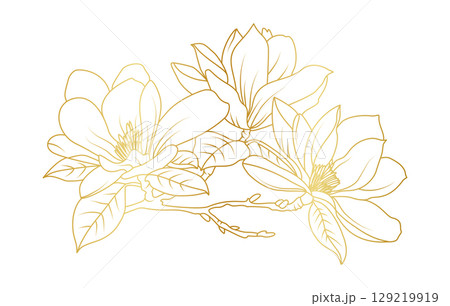 Golden magnolia flowers line art isolated on white background. Luxury magnolia floral design elements for invitation, wedding, wallpaper, print template, vector illustration Golden magnolia flowers line art isolated on white background. Luxury magnolia floral design elements for invitation, wedding, wallpaper, print template, vector illustration 129219919