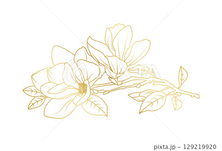 Golden magnolia flowers line art isolated on white background. Luxury magnolia floral design elements for invitation, wedding, wallpaper, print template, vector illustration 129219920