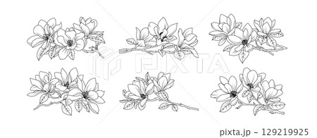 Magnolia flower arrangement line art on white background. Silhouette magnolia botanical hand drawn element for wedding, invitation frame design, vector illustration 129219925