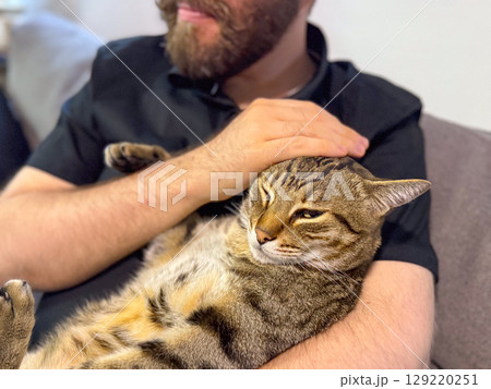 Close-up of a tabby cat resting in human arms. Calmness, trust, and the peaceful bond between animal and owner in a domestic environment Close-up of a tabby cat resting in human arms. Calmness, trust, and the peaceful bond between animal and owner in a domestic environment 129220251