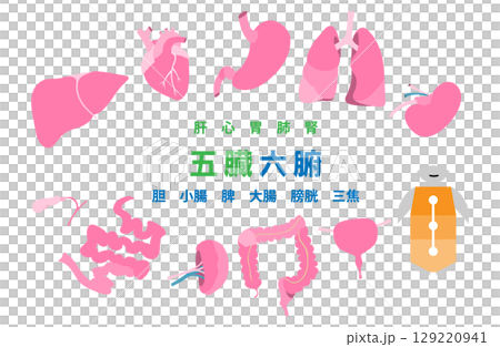 内臓と三焦（五臓六腑）のイラストセット 129220941