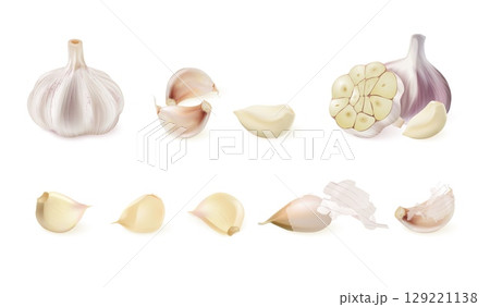 Realistic garlic. 3d isolated garlics whole peeled cloves, spicy vegetables raw onion kitchen cooking spice herbs salad food ingredient natural condiment exact vector illustration Realistic garlic. 3d isolated garlics whole peeled cloves, spicy vegetables raw onion kitchen cooking spice herbs salad food ingredient natural condiment exact vector illustration 129221138