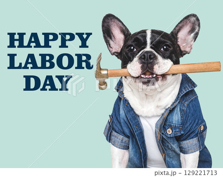 Happy Labor Day. Cute puppy and work overalls Happy Labor Day. Cute puppy and work overalls 129221713