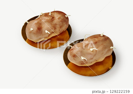 Two sprouting potato-shaped desserts resting on golden plates 129222159