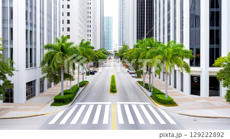Palm trees line a city street between tall modern buildings 129222892