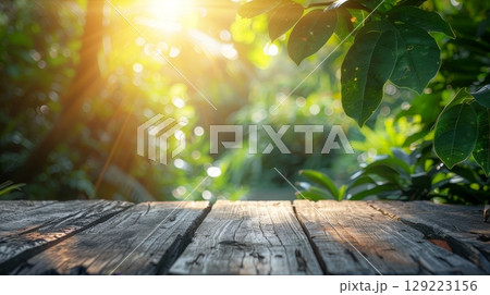 Vibrant spring foliage and blooming branches with wooden table in garden sunlight 129223156