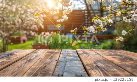 Blooming spring foliage and flowering branches on wooden table in garden sunlight 129223159