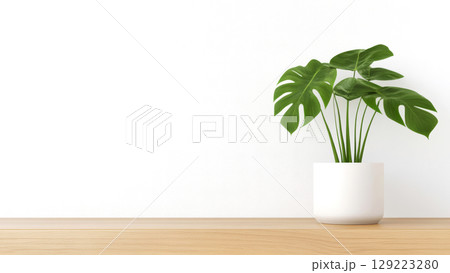Monstera plant in white pot on wooden surface, showcasing minimalist decor 129223280