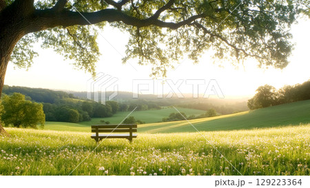 Empty bench under big oak tree overlooking green meadow at sunset, offering peaceful and relaxing view 129223364