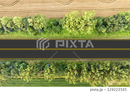 Aerial view of a road between yellow wheat fields and green trees. Aerial view of a road between yellow wheat fields and green trees. 129223585
