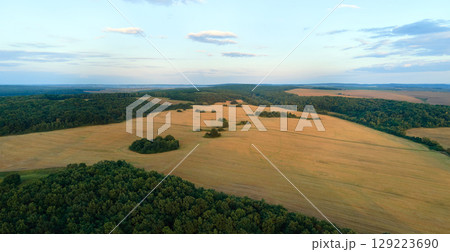 Aerial landscape view of yellow cultivated agricultural field with ripe wheat on bright summer day Aerial landscape view of yellow cultivated agricultural field with ripe wheat on bright summer day 129223690