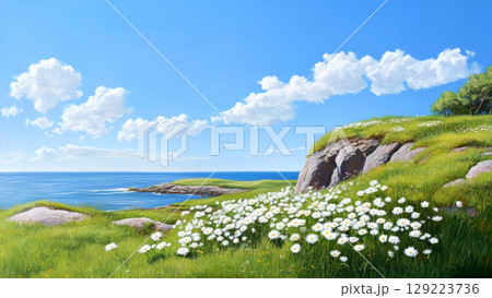 Scenic landscape featuring blooming daisies on a grassy coastline under a bright blue sky with fluffy white clouds 129223736