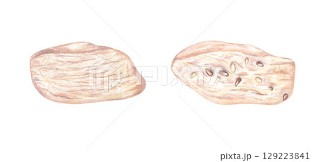 Two pieces of boiled chicken or turkey meat breast fillet with sesame seeds watercolor illustration set on isolated white background. Top view. Meat slices for healthy food blog, fitness recipe, menu. Two pieces of boiled chicken or turkey meat breast fillet with sesame seeds watercolor illustration set on isolated white background. Top view. Meat slices for healthy food blog, fitness recipe, menu. 129223841