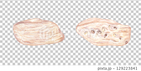 Two pieces of boiled chicken or turkey meat breast fillet with sesame seeds watercolor illustration set on isolated white background. Top view. Meat slices for healthy food blog, fitness recipe, menu. Two pieces of boiled chicken or turkey meat breast fillet with sesame seeds watercolor illustration set on isolated white background. Top view. Meat slices for healthy food blog, fitness recipe, menu. 129223841