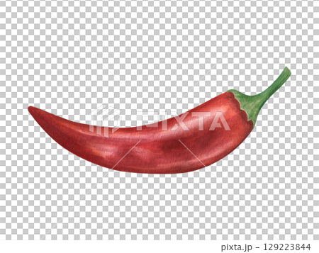 Red hot chili pepper pod isolated watercolor illustration on isolated white background. Jalapeno, cayenne or chili realistic sketch. Vegetable for spicy food, cooking blog, Mexican or Asian cuisine. Red hot chili pepper pod isolated watercolor illustration on isolated white background. Jalapeno, cayenne or chili realistic sketch. Vegetable for spicy food, cooking blog, Mexican or Asian cuisine. 129223844