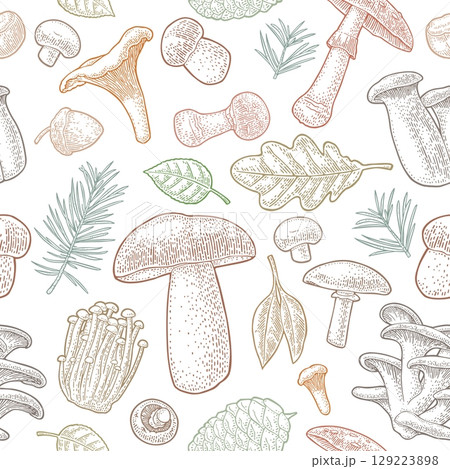 Seamless pattern mushroom. Vintage vector engraving color illustration Seamless pattern mushroom. Vintage vector engraving color illustration 129223898