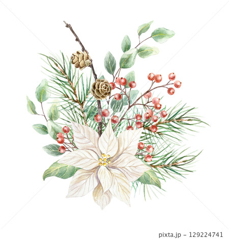 Christmas bouquet with white poinsettia flower, fir branch and cones, sprig of red berries and eucalyptus watercolor illustration isolated. Hand drawn pastel New Year clip art. 129224741