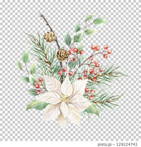Christmas bouquet with white poinsettia flower, fir branch and cones, sprig of red berries and eucalyptus watercolor illustration isolated. Hand drawn pastel New Year clip art. 129224741