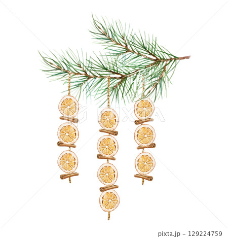 Dried oranges and cinnamon sticks hanging as Christmas decoration on a fir branch watercolor illustration isolated. Hand drawn pastel New Year clip art for creating beautiful cards and invitations. 129224759