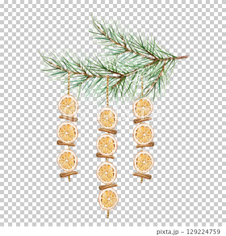 Dried oranges and cinnamon sticks hanging as Christmas decoration on a fir branch watercolor illustration isolated. Hand drawn pastel New Year clip art for creating beautiful cards and invitations. 129224759