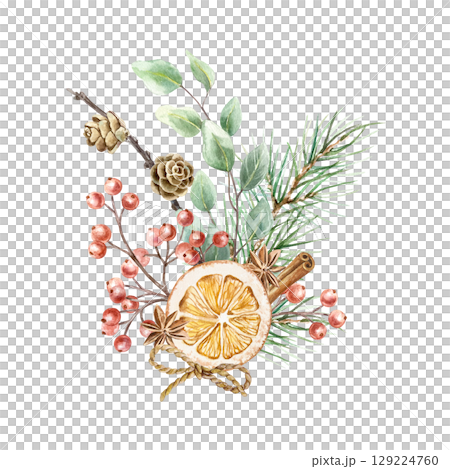 Christmas bouquet with dried orange, fir branch and cones, sprig of red berries, eucalyptus and cinnamon sticks watercolor illustration isolated. Hand drawn pastel New Year clip art. 129224760