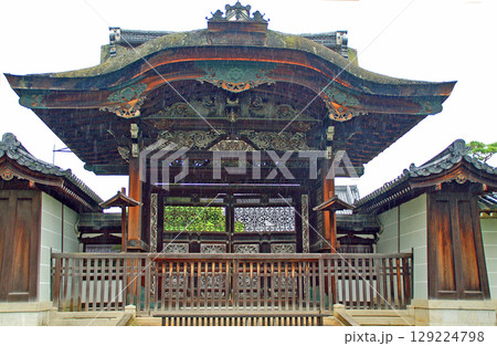 京都 仁和寺 御所庭園 麦雨の降り注ぐ勅使門 京都 仁和寺 御所庭園 麦雨の降り注ぐ勅使門 129224798