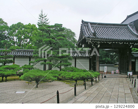 京都 仁和寺 御所庭園 本坊表門 這い松 京都 仁和寺 御所庭園 本坊表門 這い松 129224800