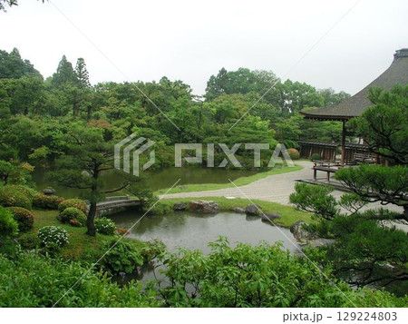 京都　仁和寺　御所庭園　辰殿北庭 129224803