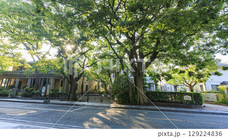 山手西洋館の山手234番館の夏 129224836