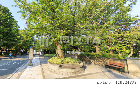 山手西洋館の山手234番館の夏 山手西洋館の山手234番館の夏 129224838