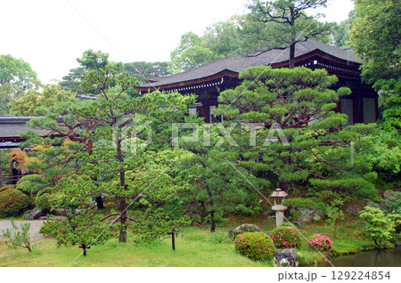 京都　仁和寺　御所庭園　辰殿北庭　黎明殿　 129224854