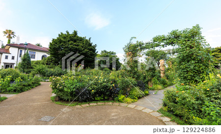 フランス山庭園の夏 フランス山庭園の夏 129224886