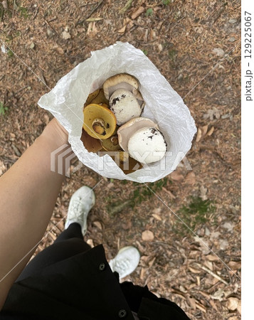 Fresh forest mushrooms in bag held by hand in autumn forest 129225067