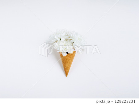 Lovely unique flower in ice cream cone on white background. Flat lay styling. 129225231