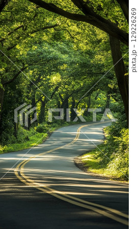 Winding forest road with sunlight filtering through trees, serene natural landscape concept 129226269