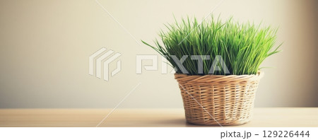 Potted plant on wooden table, natural home decor concept 129226444