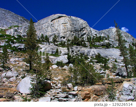 アメリカ合衆国　カリフォルニア州　シエラ・ネバダ山脈　ヨセミテ国立公園　レンバートドーム 129226514