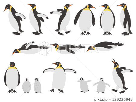 コウテイペンギンの色々なポーズのイラストのセット 129226949