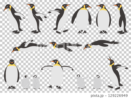 コウテイペンギンの色々なポーズのイラストのセット 129226949