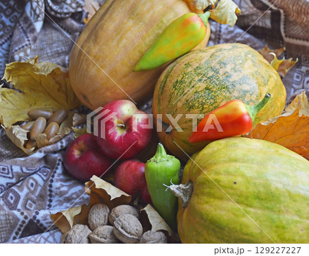 ripe gifts of autumn on a warm blanket and yellow maple leaves ripe gifts of autumn on a warm blanket and yellow maple leaves 129227227