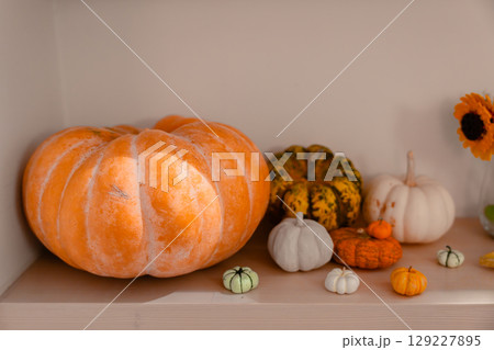 Colorful autumn pumpkins on shelf with soft light and cozy seasonal atmosphere Colorful autumn pumpkins on shelf with soft light and cozy seasonal atmosphere 129227895