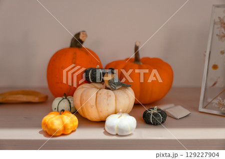 Pumpkin and bird autumn still life with orange, white and green gourds on wooden surface 129227904